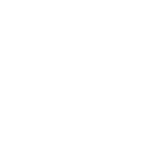 logo white